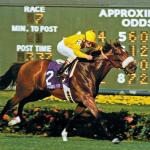 From Dirt to Turf: How Lure Became a Legend